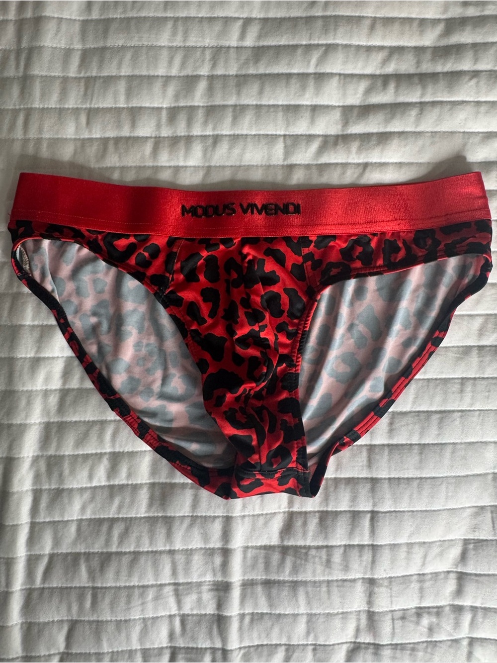 MODUS VIVENDI Red Leopard-Print Men's Briefs